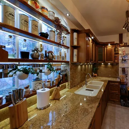 Bio BoutiqueHotel Club-Austria Vilă *